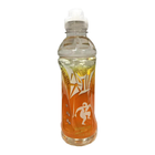 Jianlibao Eistee 500ml – Zitroneneistee