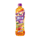 Master Kong Ice Red Tea Tropical Fruit Flavor 500ml – Eistee Tropische Früchte